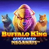 Buffalo King